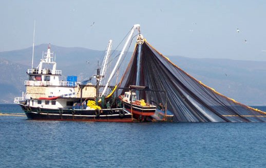 muhammer yılmaz